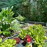 Apartamento Valle Fiorita 42 - Garden