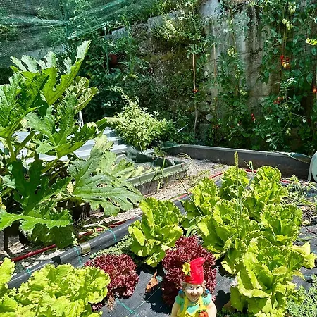 דירה Valle Fiorita 42 - Garden